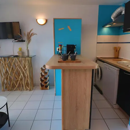 Appartement Renove Avec Loggia, Wifi, Parking Prive A Sete - Fr-1-472A-294 Appartement
